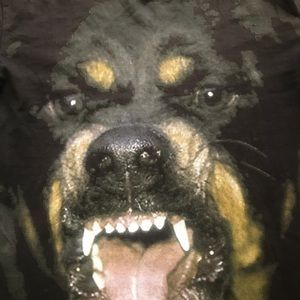 Givenchy Shirts Givenchy Rottweiler T Shirt Poshmark